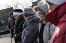 antonicek2018_44