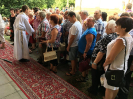 provodov2018_5