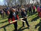 antonicek2019_11