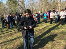 antonicek2019_3